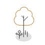 Plantons pour le café